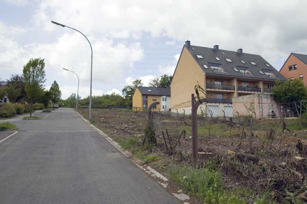 raemerichrue200505001