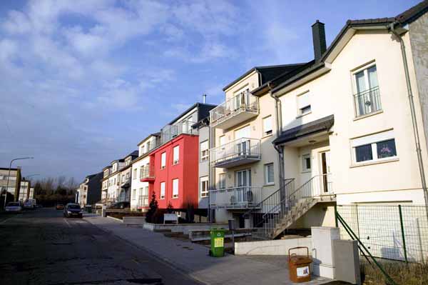 reichling200502008