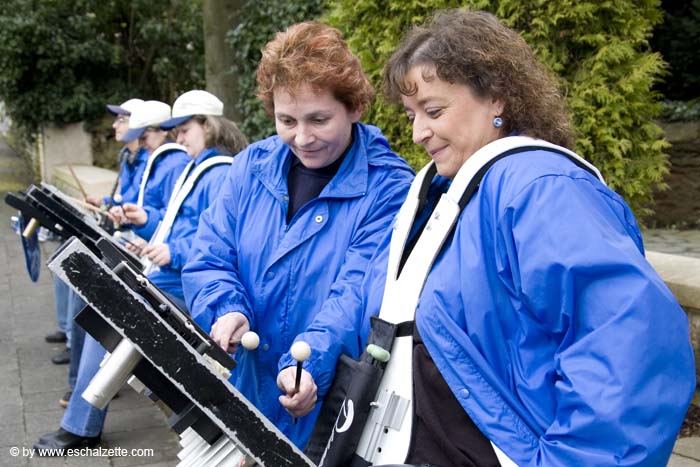 20080315eschermajorettenhaemmelsmarsch005