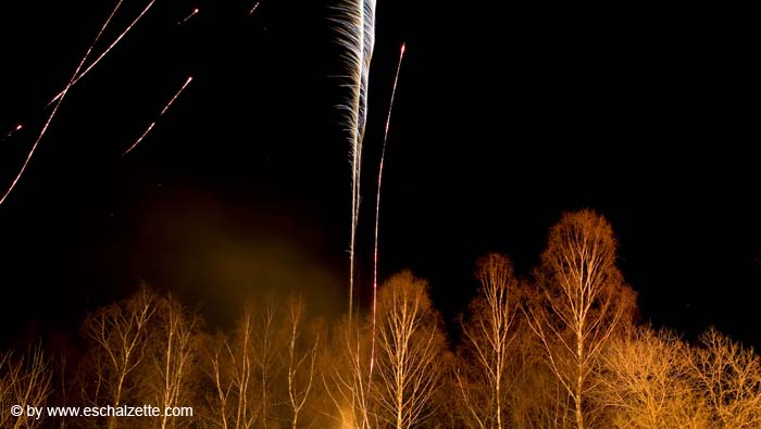 20080209fetedesbrandons011