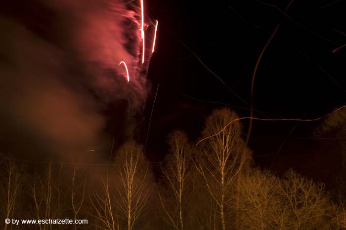 20080209fetedesbrandons012