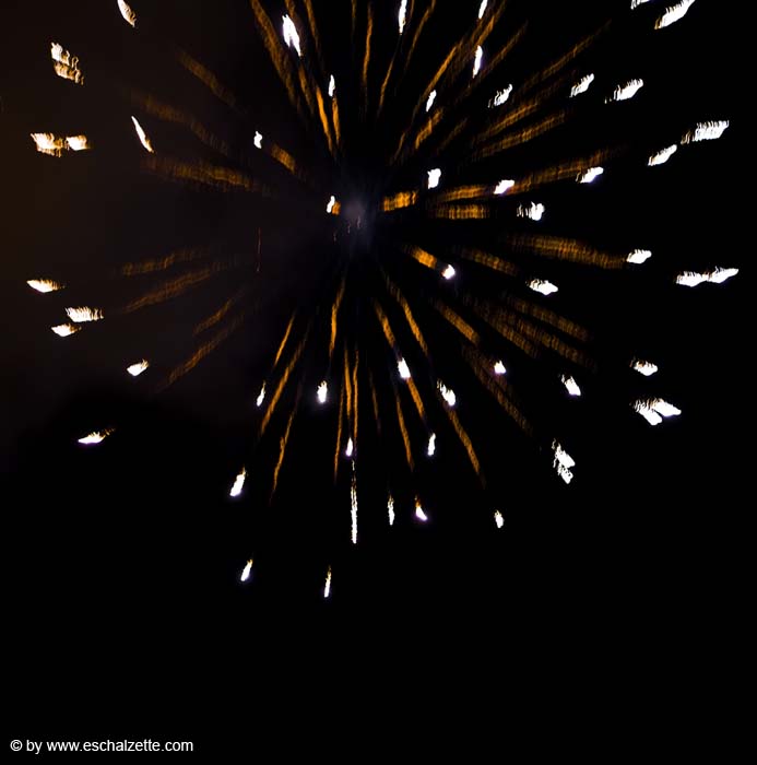 20080209fetedesbrandons041