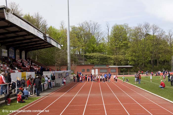 20080501cafolaspillfest026