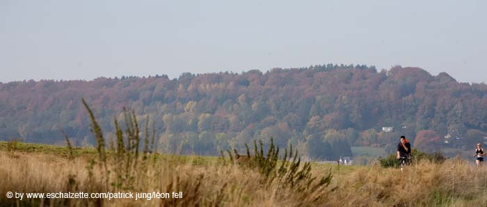 20081012cafolaeschvil#C13E5