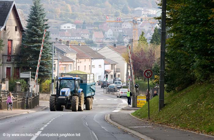 20081012cafolaeschvil#C1449