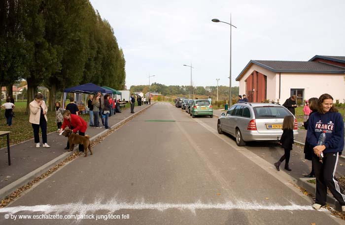 20081012cafolaeschvil#C1459