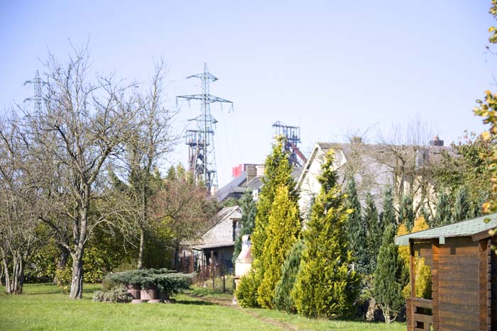 cafolaeschvillerupt20071014004