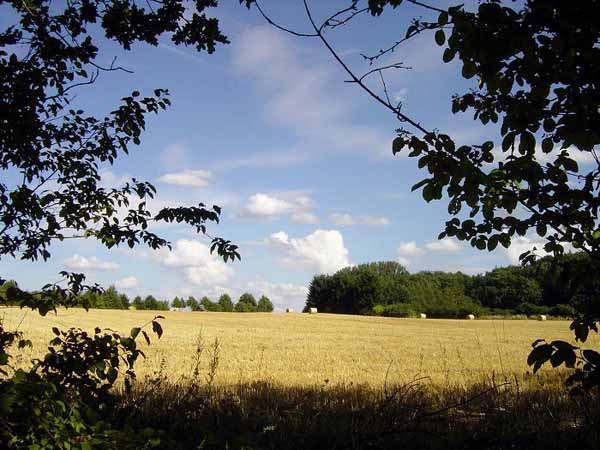 img00003