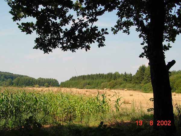 img00009