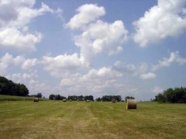 img00031