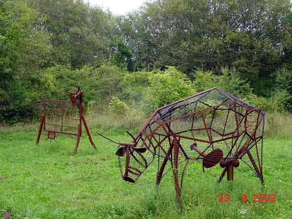 img00014