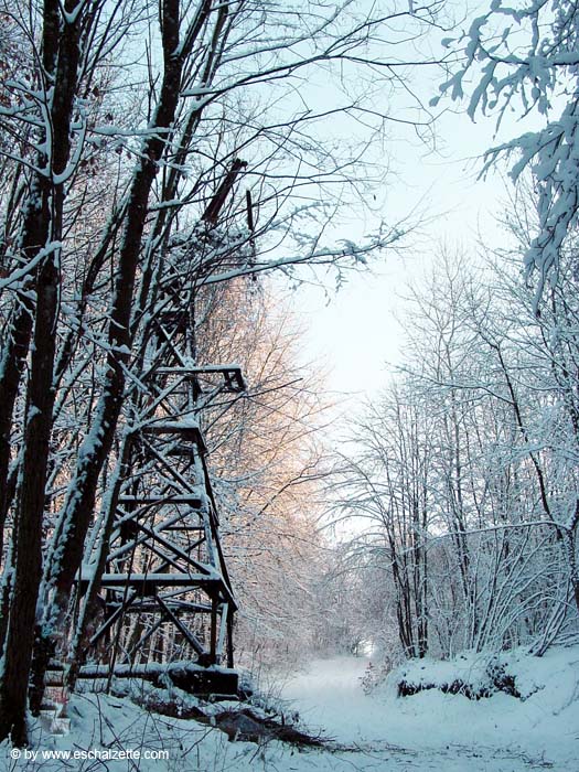 Auf dem Heinzenberg 2001 12 002