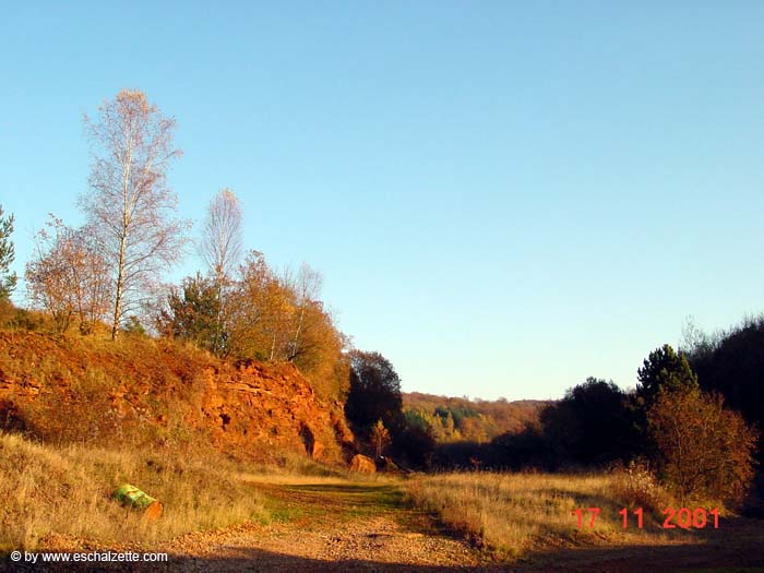 Burbacher Lach 6