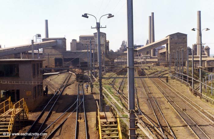 barbourg001