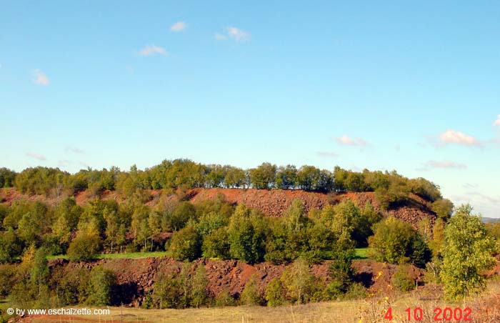 lallengerbierg 06