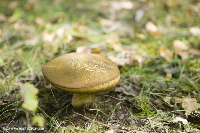 nature200509005