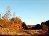 Burbacher Lach 6