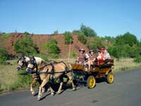 lallengerbierg 13