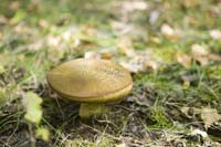 nature200509005