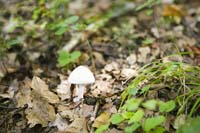 nature200509007