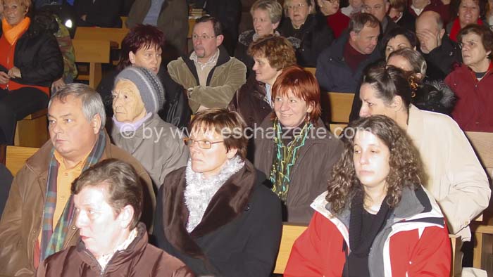 20061204stebarbedhoil010