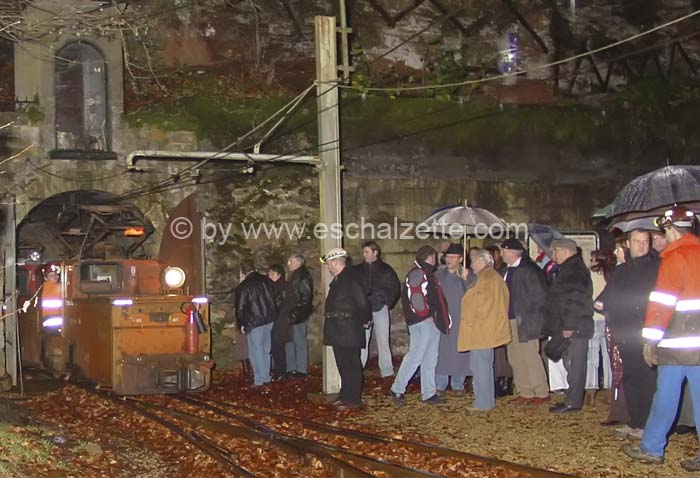 20061204stebarbedhoil014