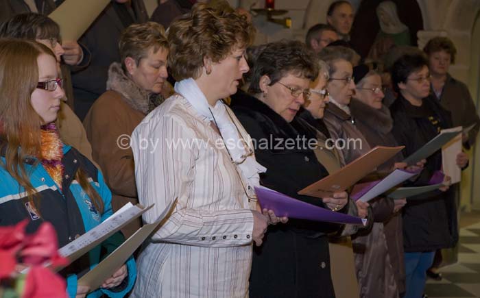20061204stebarbedhoil045