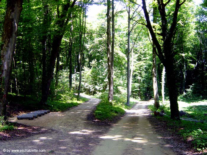 parc_grouwen4337