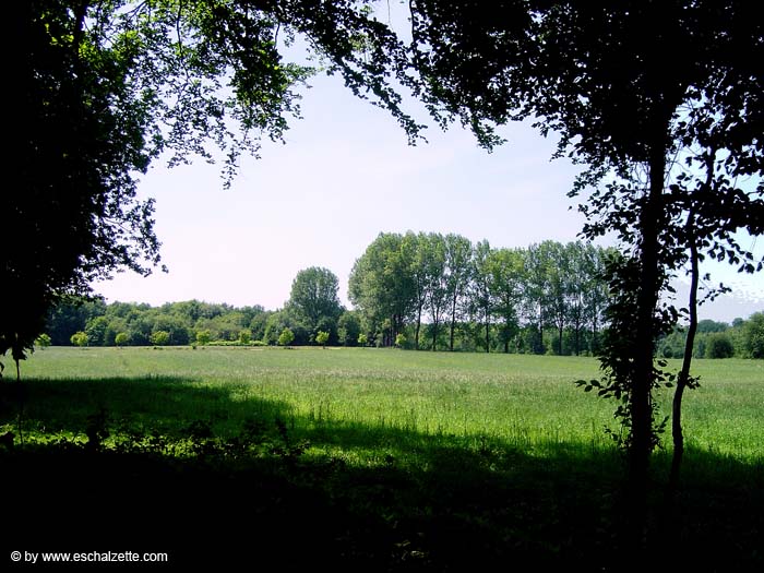 parc_grouwen4357
