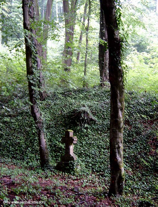 parc_grouwen4782