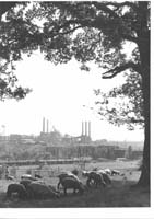 Arbed Belval 002